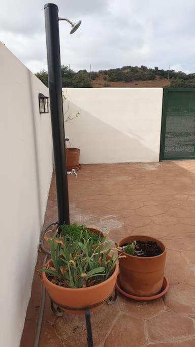 Casa La Hojiblanca Villa Mancha Real Dış mekan fotoğraf